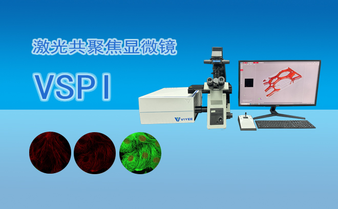 激光共聚焦顯微鏡VSPI.jpg